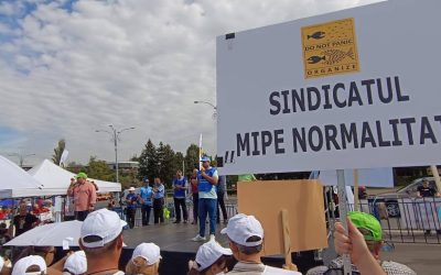 MIPE: Promisiuni salariale, dar fără lege