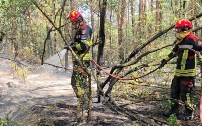 Pompierii Români, pe front în Serbia: Luptă cu focul pe 34 de hectare