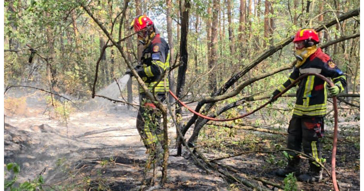 Pompierii Români, pe front în Serbia: Luptă cu focul pe 34 de hectare