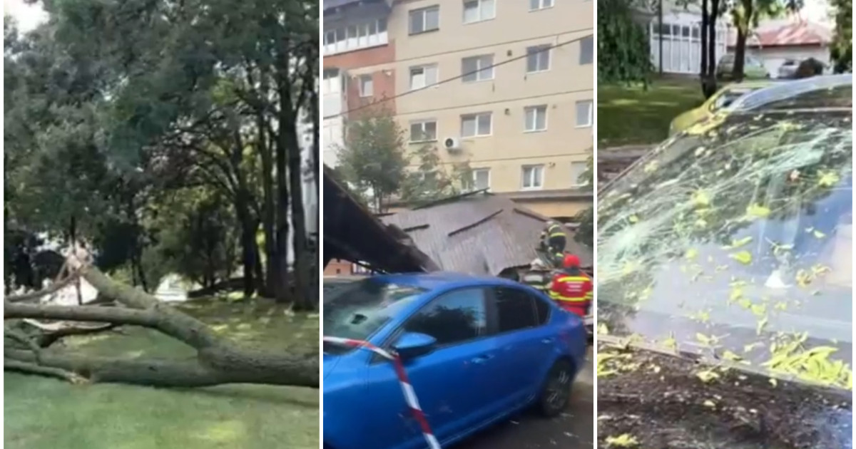Vânt puternic: Copaci căzuți și acoperiș peste mașini în țară