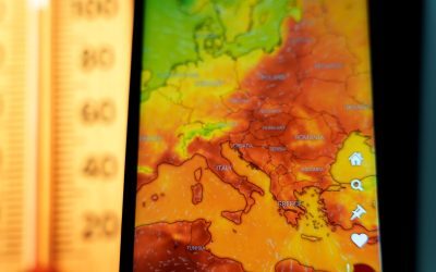 Europa: 35.000 de morți din cauza caniculei vara aceasta