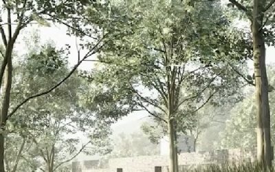 Cluj: Primul cimitir public pentru animale, un pas istoric
