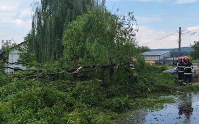 Alertă meteo: Arșiță și furtuni devastatoare lovesc România
