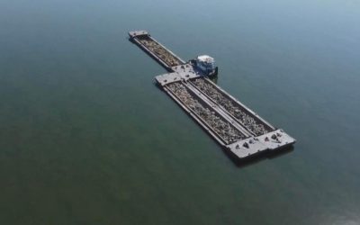 Barje scufundate în Dunăre: Cursa contra cronometru la Cernavodă