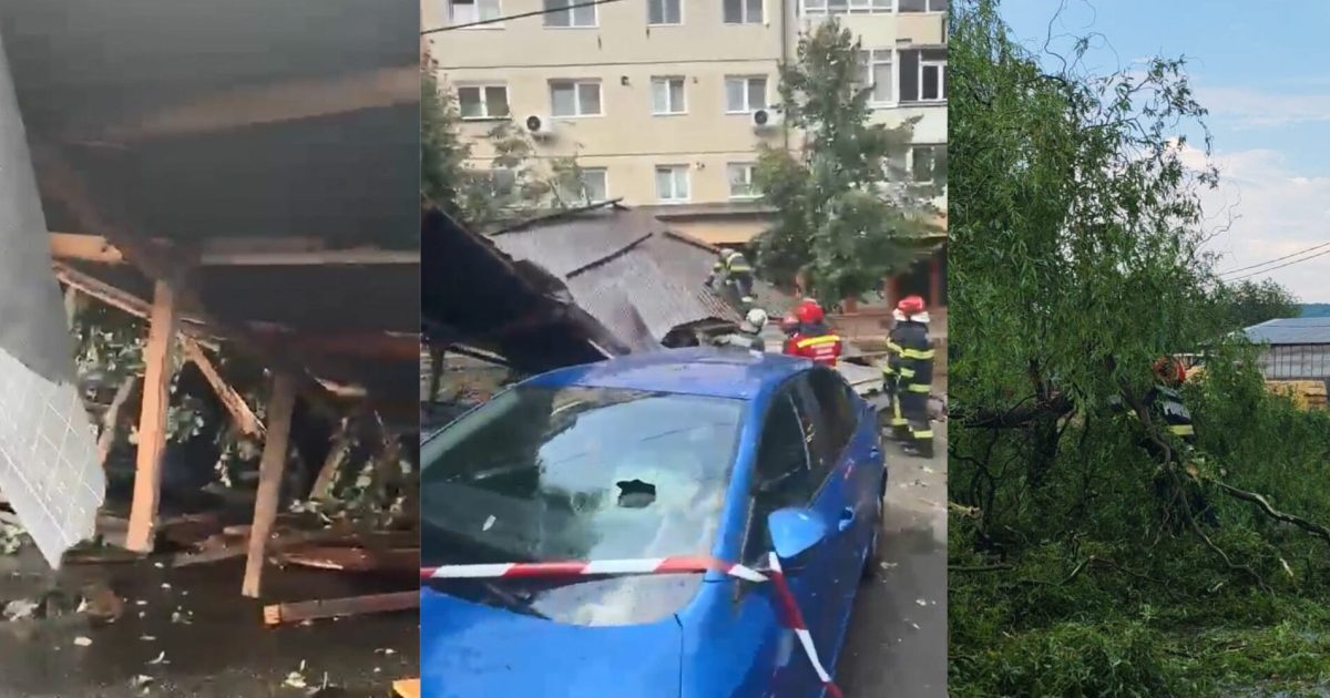 Bloc pe SIBIU, Copac în ARGEȘ: Vântul face prăpăd