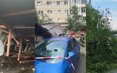 Bloc pe SIBIU, Copac în ARGEȘ: Vântul face prăpăd
