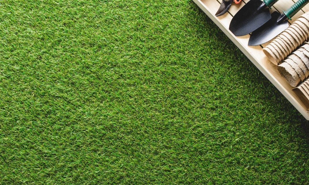 Caniculă: Gazonul galben salvat fără replantare