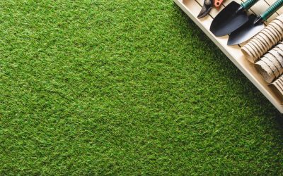 Caniculă: Gazonul galben salvat fără replantare