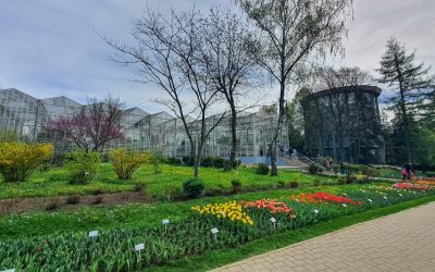 România are prima grădină botanică din țară