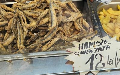Hamsii la mare: Sănătate sau risc pentru consumatori