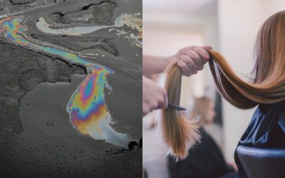 Părul românesc curăță oceanele de poluare. Cum funcționează