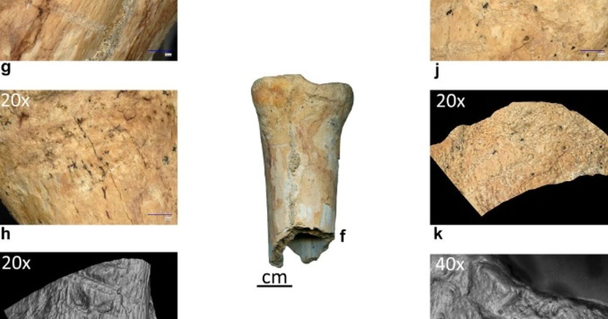 Neandertalienii: Primele unelte din os, confirmate istoric