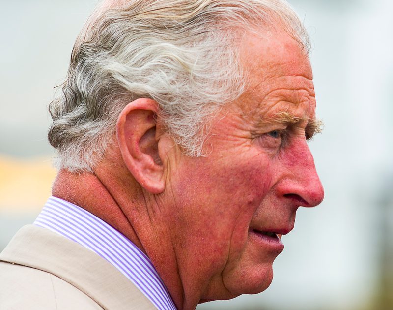 Regele Charles, verdict pentru Harry și Meghan: Ce statut au acum