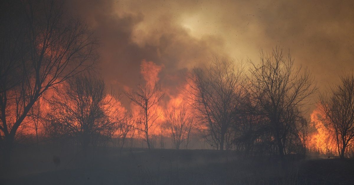 Caraș-Severin sub flăcări: Incendii devastatoare de vegetație