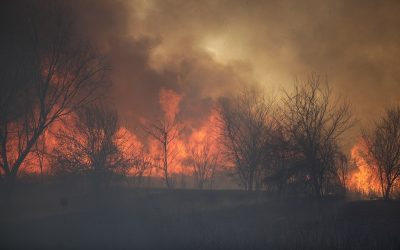 Caraș-Severin sub flăcări: Incendii devastatoare de vegetație