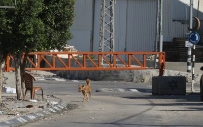 Țări interzic produse israeliene. Ce face România