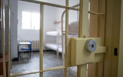 Rusia-nchide o femeie pentru Navalnîi. AUR obligă ONG-urile să dezvăluie donatorii