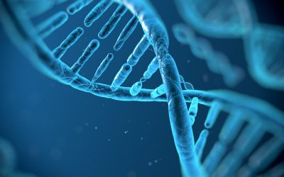 ADN-ul „gunoi” dezvăluie noi tratamente pentru cancer