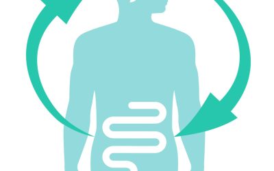 Intestinul tău dictează starea de spirit: Noul studiu
