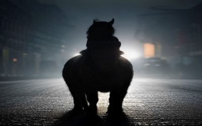 Polițist mușcat de mână la o intervenție pe stradă