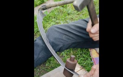 Moț din Alba, mega-viral pe Facebook: Cosește, face foc și strânge milioane