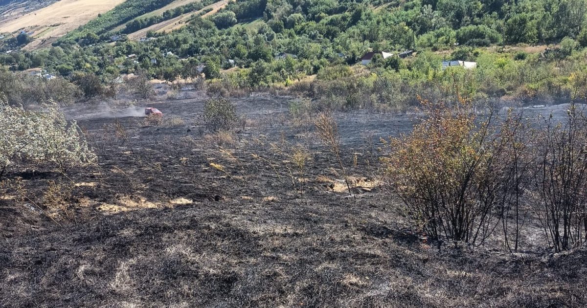 Incendiu masiv în Vaslui: 12 hectare distruse, 7 case salvate