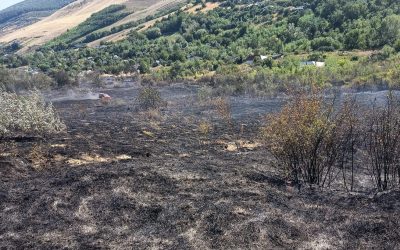 Incendiu masiv în Vaslui: 12 hectare distruse, 7 case salvate