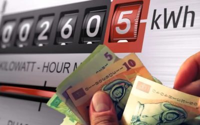 Haos energetic: Un jucător crucial cere protecție împotriva falimentului