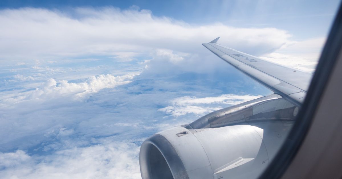 Avioane: Ce dezvăluie ADN-ul păsărilor în fața accidentelor